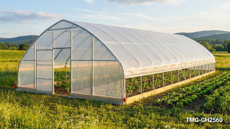 Summer Greenhouse Ventilation Tips for Healthier Plants