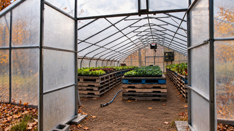 How to Transition Your High Tunnel Greenhouse for Optimal Growth