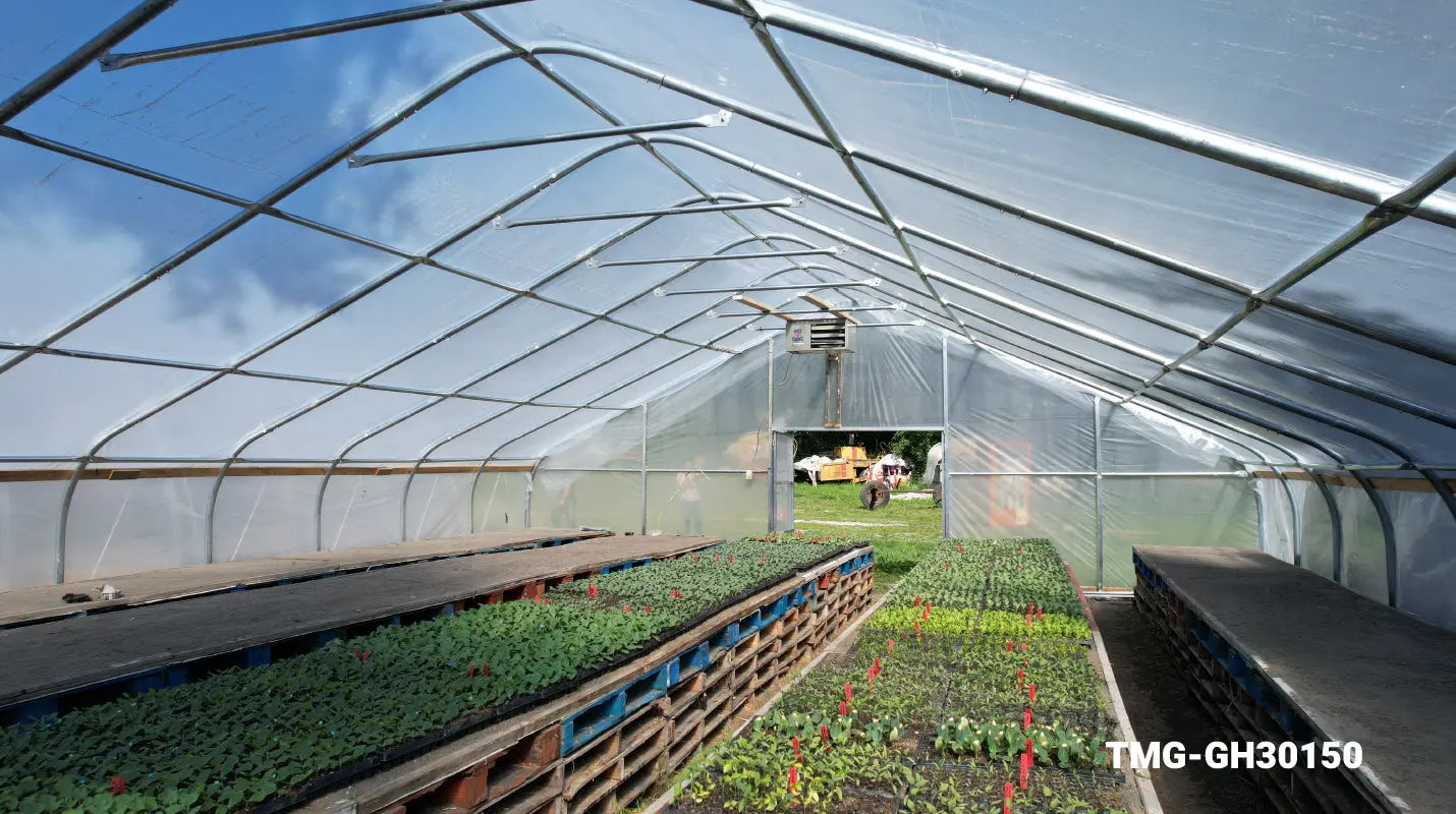 Beginner's Guide to Greenhouse Gardening