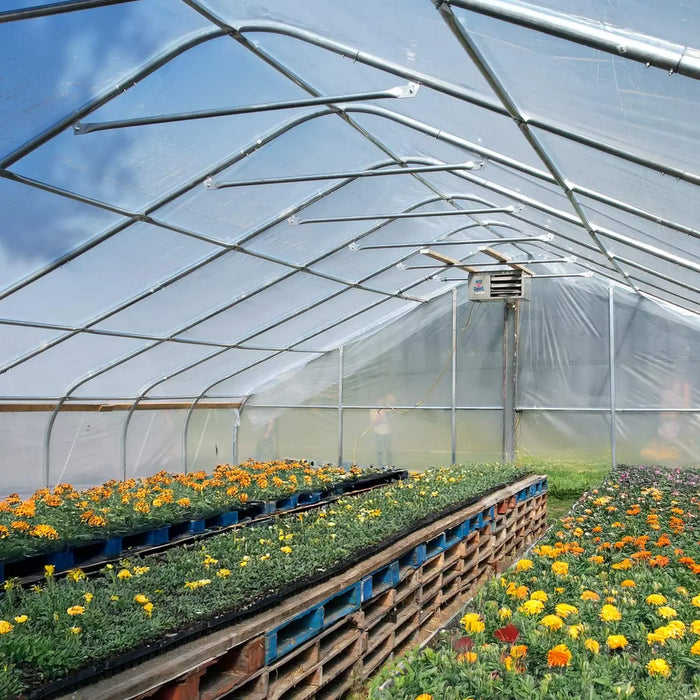 30’ x 50’ Tunnel Greenhouse Grow Tent w/6 Mil Clear EVA Plastic Film