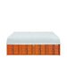 Snow Series 50' x 40' dual truss container shelter with 32 oz PVC cover, 25 PSF snow load, TMG-DT5040-SR25

