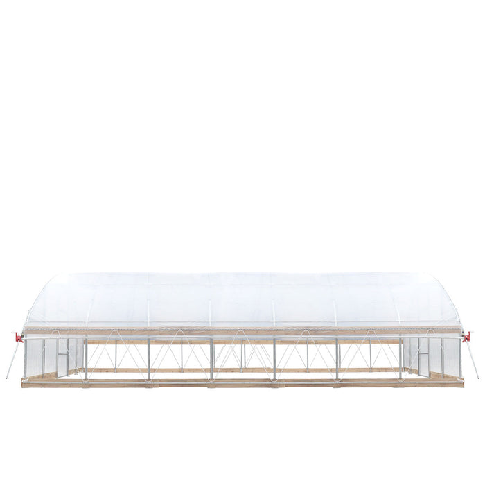 20' x 30' Tunnel Greenhouse Grow Tent w/12 Mil Ripstop Leno Mesh Cover, Cold Frame, Roll-up Windows, Peak Ceiling Roof, TMG-GH2030-V2 (Previously GH2030)