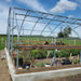 Customer photo: close-up of tunnel greenhouse steel frame and wood base rails with potted plants inside