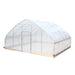 Rear angle of TMG-GH2020-V2 tunnel greenhouse showing clear cover and roll-up side ventilation