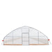 TMG Industrial 25’ x 100’ Tunnel Greenhouse Grow Tent w/6 Mil Clear EVA Plastic Film, Cold Frame, Hand Crank Roll-Up Sides, Peak Ceiling Roof, TMG-GH25100