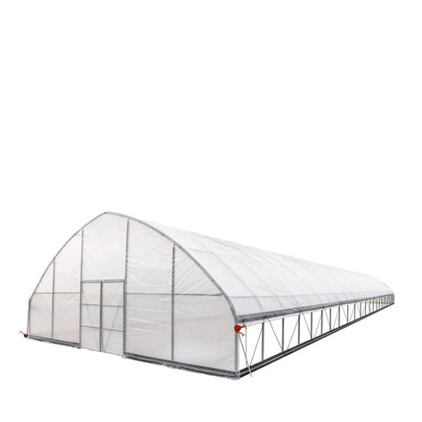 TMG Industrial 30' x 100' Tunnel Greenhouse Grow Tent w/6 Mil Clear EVA Plastic Film, Cold Frame, Hand Crank Roll-Up Sides, Peak Ceiling Roof, TMG-GH30100