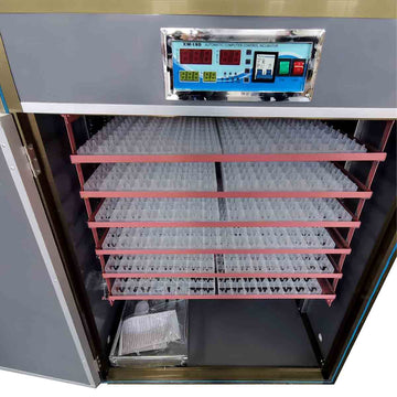 Egg Tray Machine - Click for Price Now