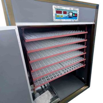Egg Tray Machine - Click for Price Now